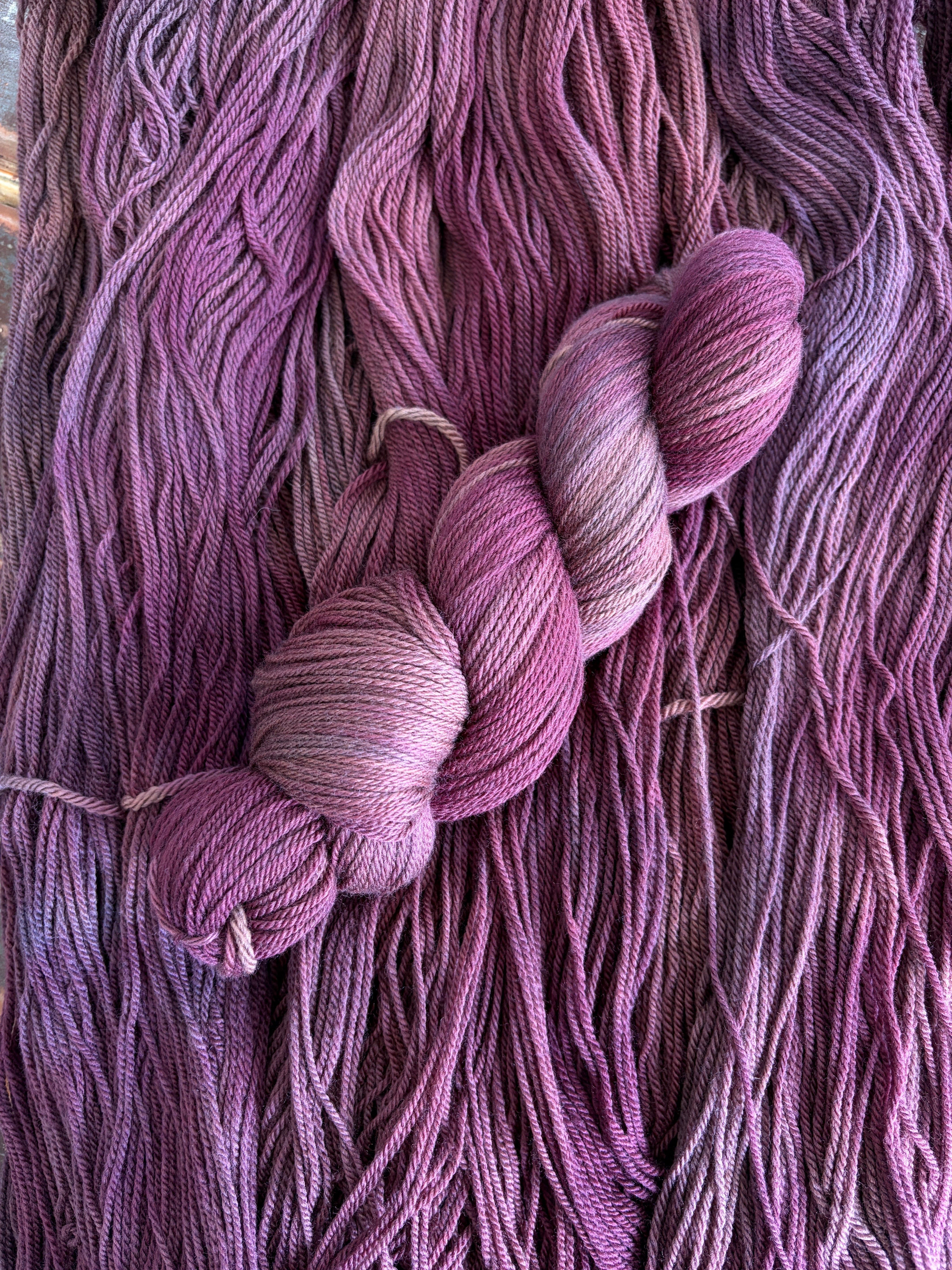 Wisteria Dreams