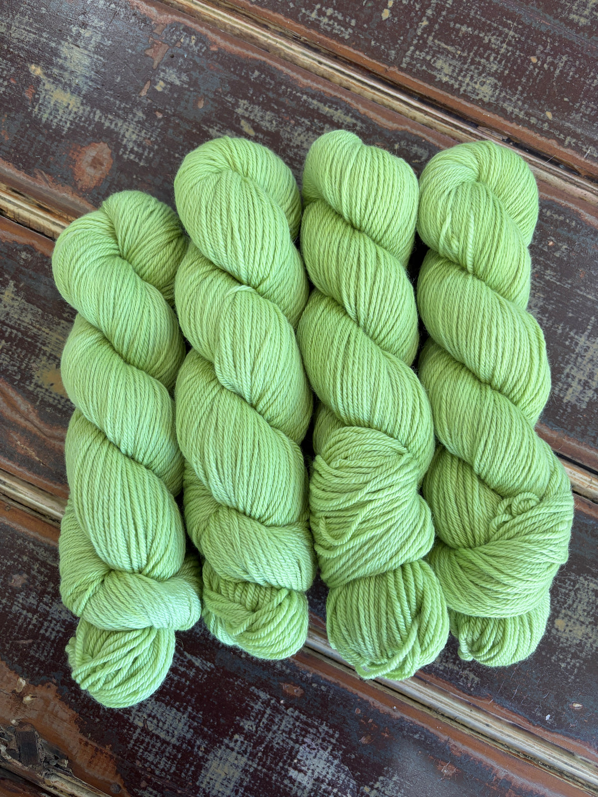 Spring Fern