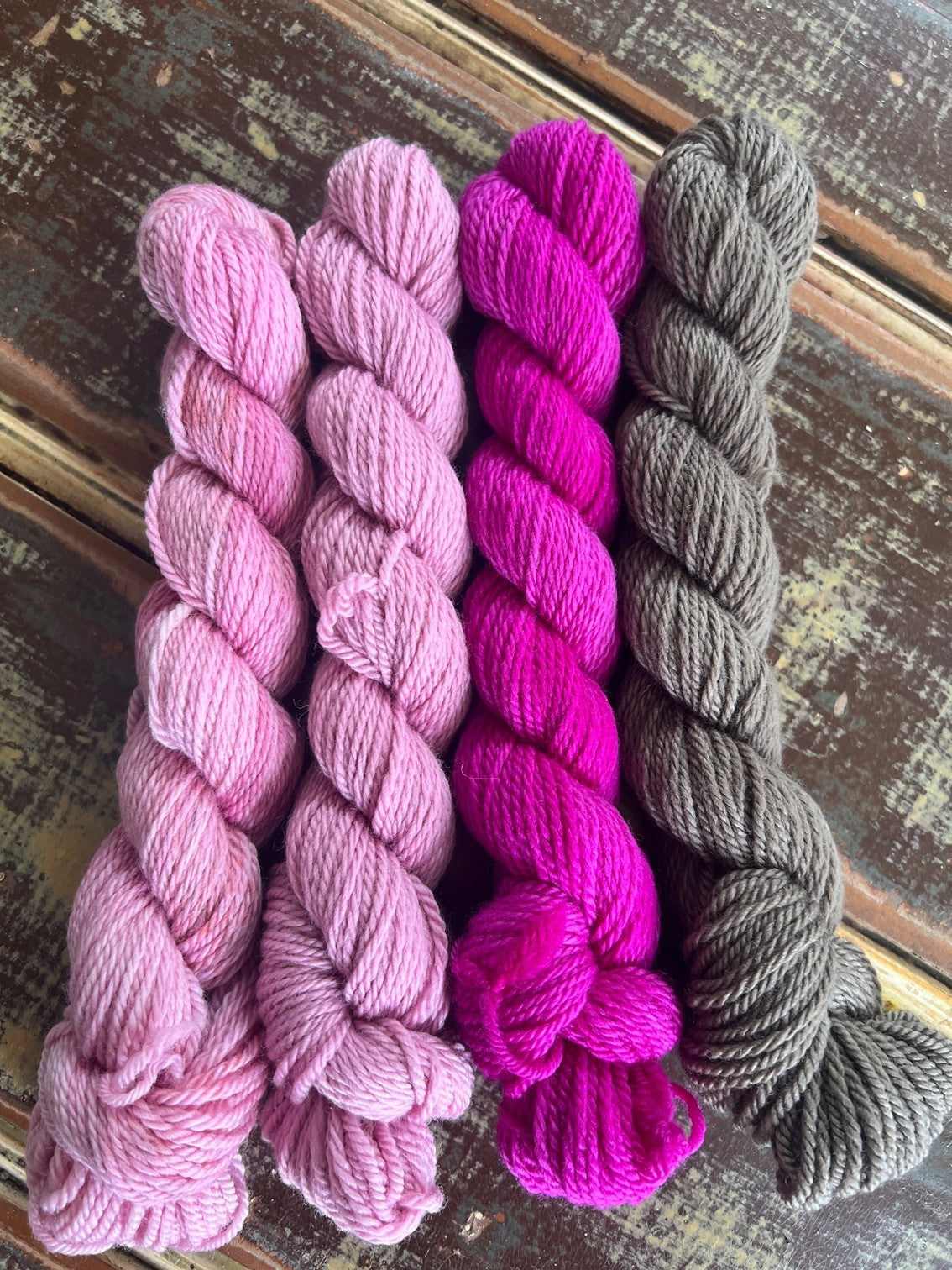 Wild Rosebush - Mini Skein Collection
