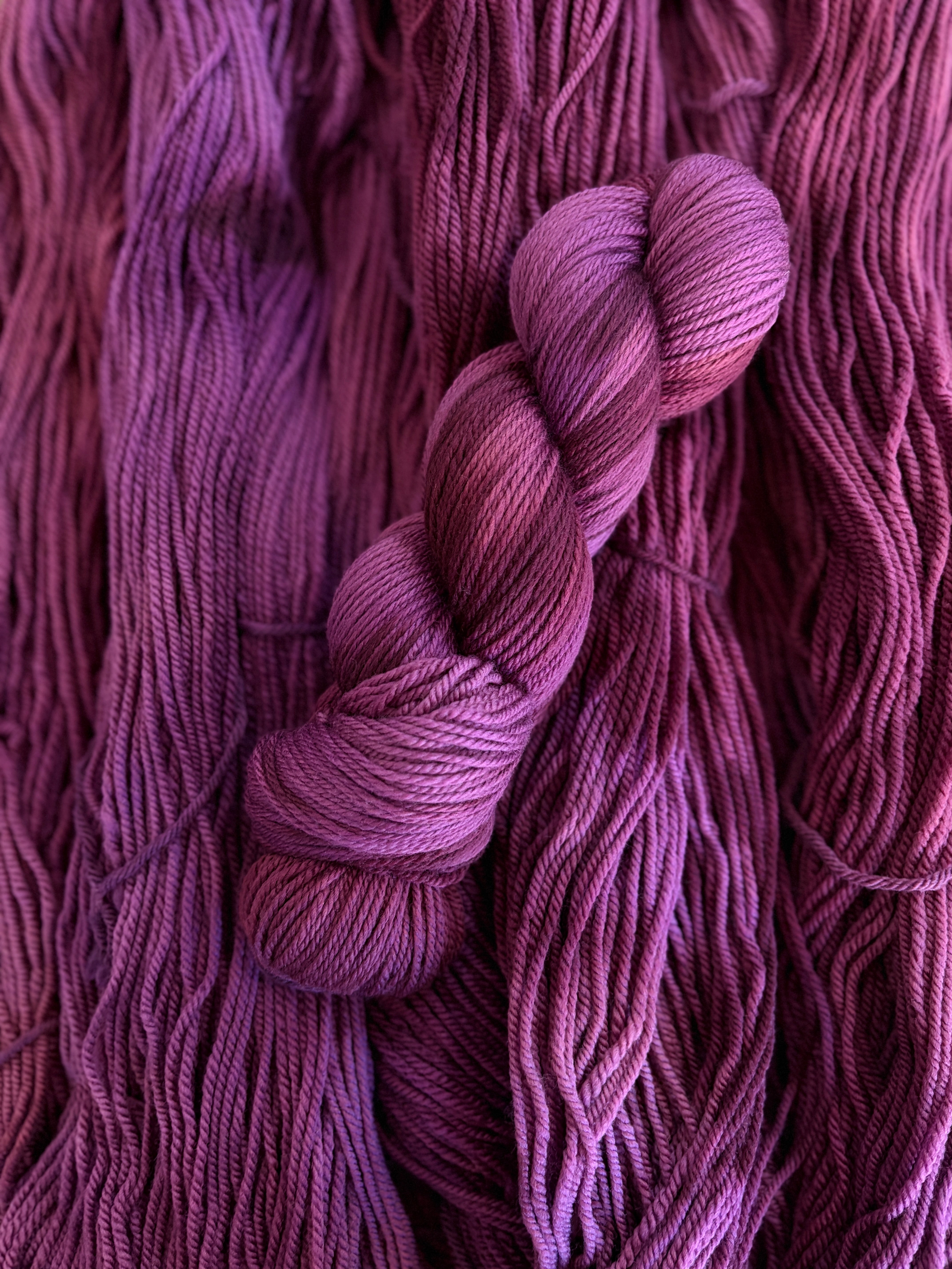 Black Plum