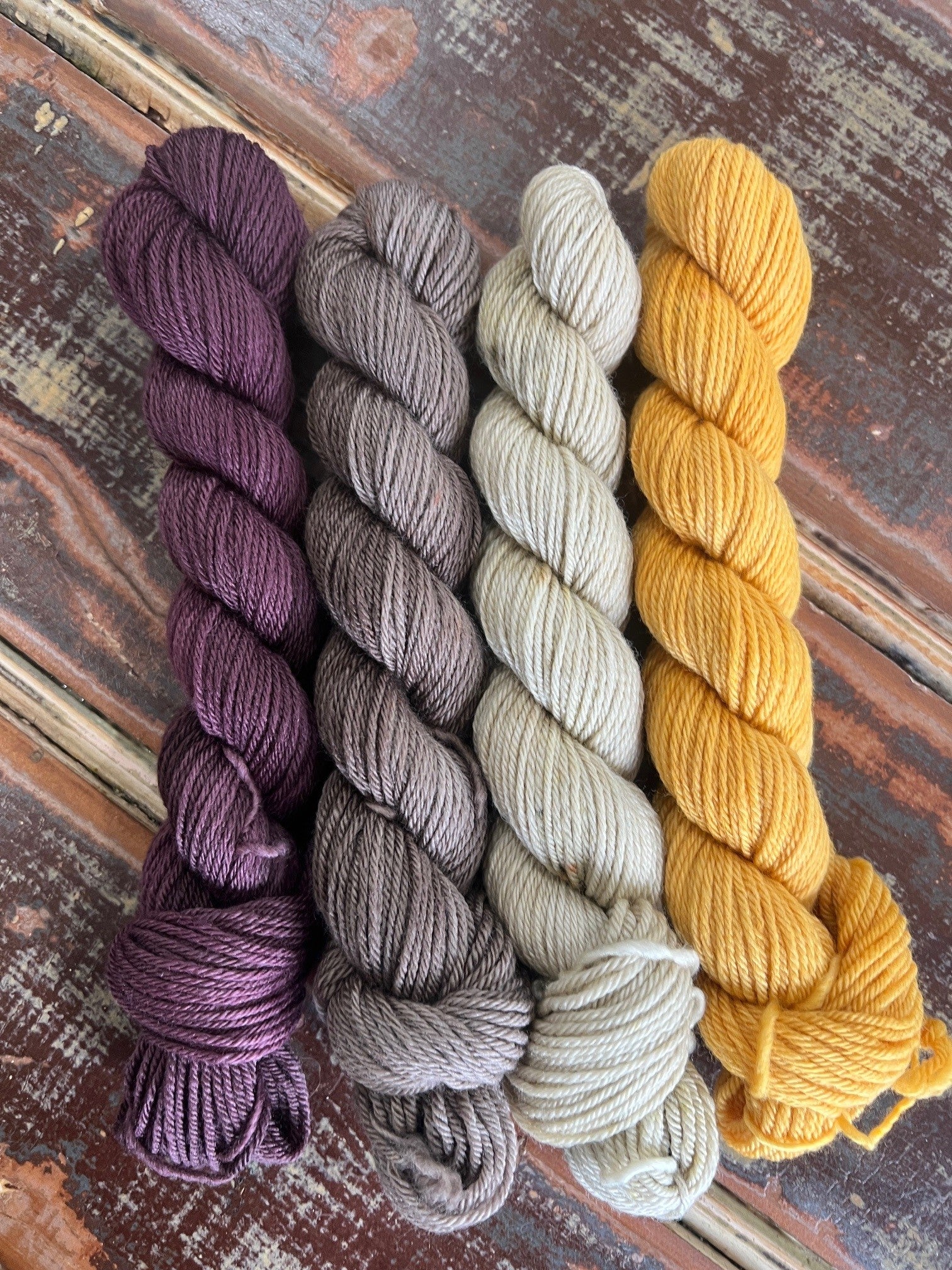 Autumn Orchid - Mini Skein Collection